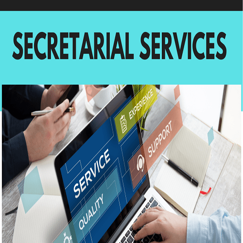 Company Secretarial Work